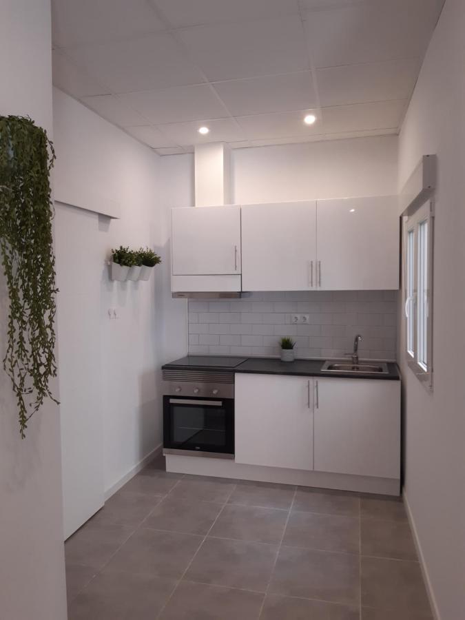 Tropical Garden Apartment لقنت المظهر الخارجي الصورة